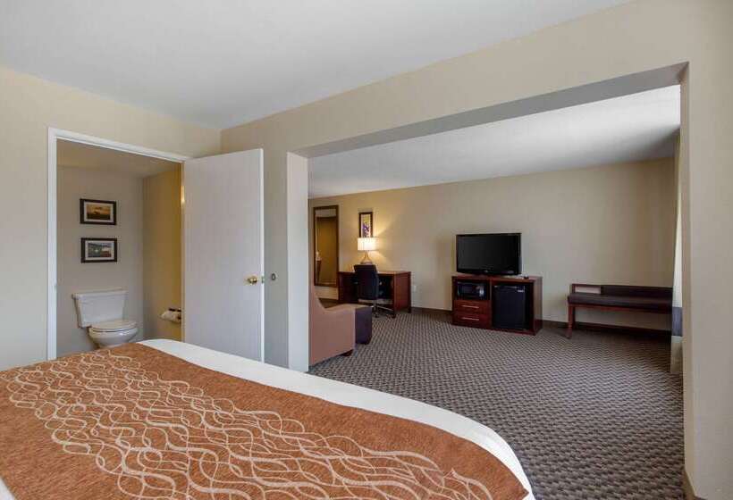 Fotos del hotel Comfort Inn & Suites Sw Houston Sugarland:  68