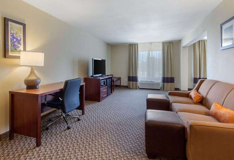 Fotos del hotel Comfort Inn & Suites Sw Houston Sugarland:  87