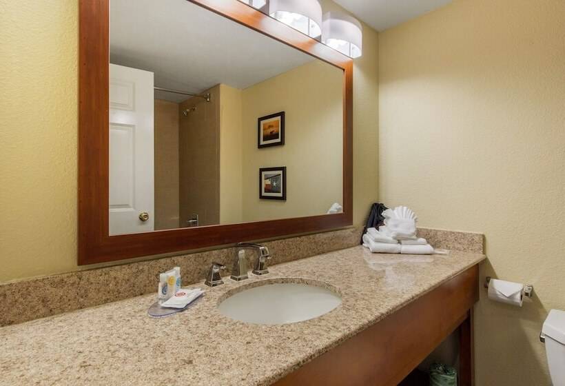 Fotos del hotel Comfort Inn & Suites Sw Houston Sugarland:  15