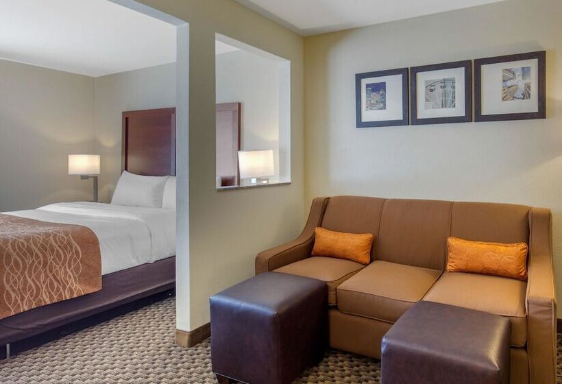 Fotos del hotel Comfort Inn & Suites Sw Houston Sugarland:  6