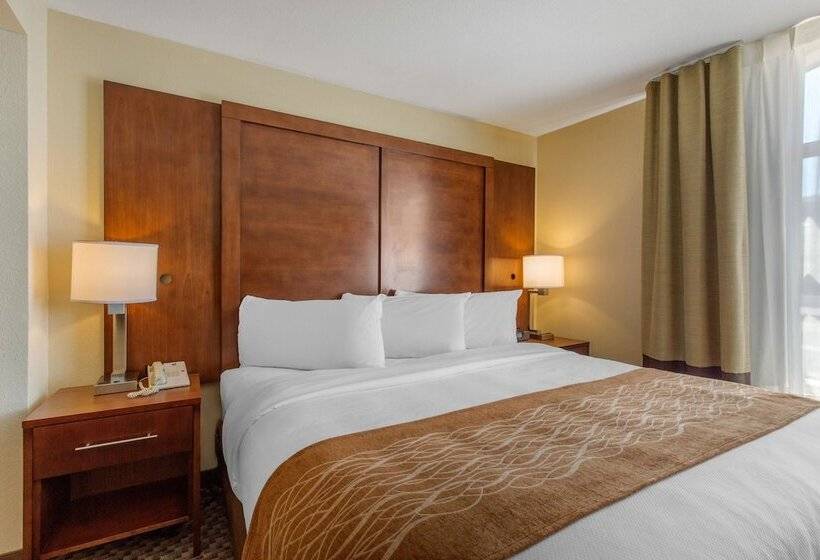 Fotos del hotel Comfort Inn & Suites Sw Houston Sugarland:  4