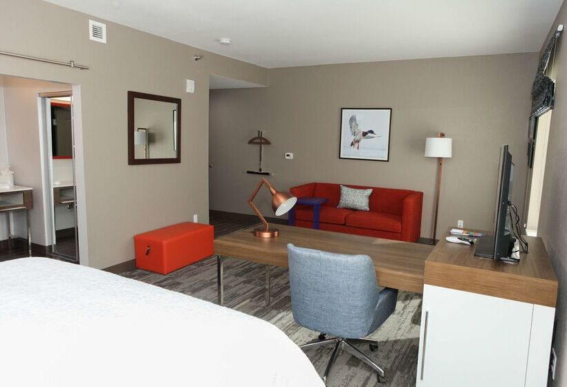 هتل Hampton Inn & Suites Lafayette Medical Center, Co