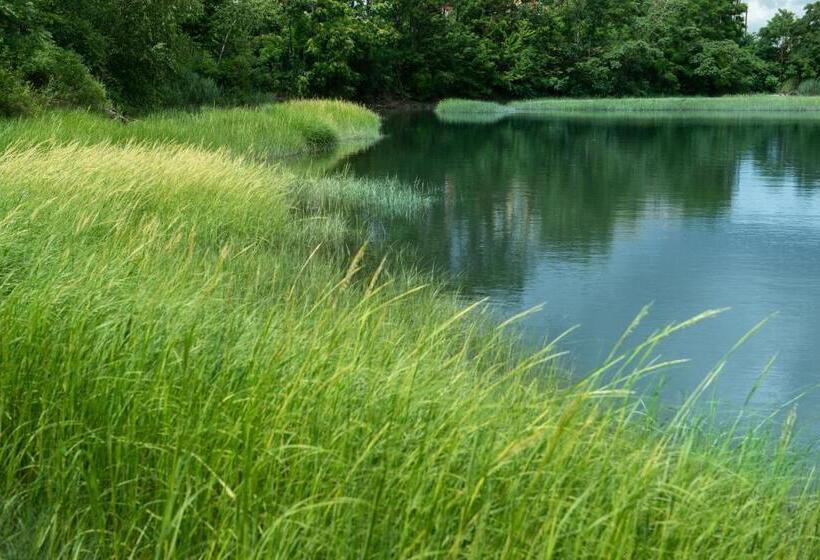 בית מלון כפרי Holiday Inn Boston Logan Airport   Chelsea, An Ihg