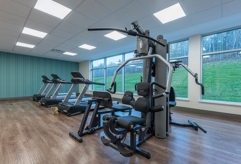 هتل Holiday Inn Express & Suites Moncton, An Ihg