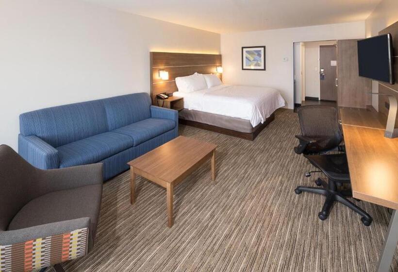 هتل Holiday Inn Express & Suites   Kalamazoo West, An Ihg