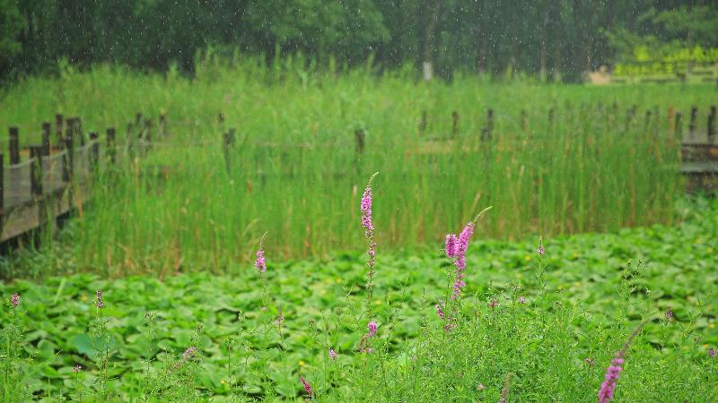 בית מלון כפרי Holiday Inn Kunshan Huaqiao, An Ihg