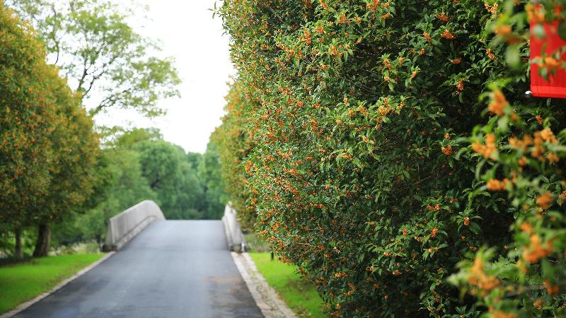 ホテル Holiday Inn Kunshan Huaqiao, An Ihg