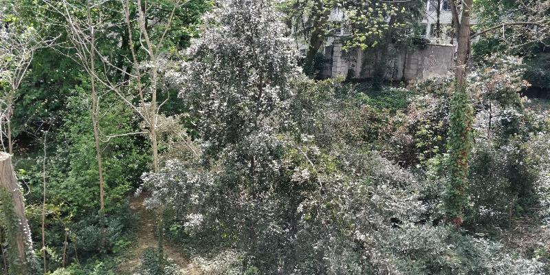 Fotos del hotel Hôtel De Berri, A Luxury Collection , Paris:  12