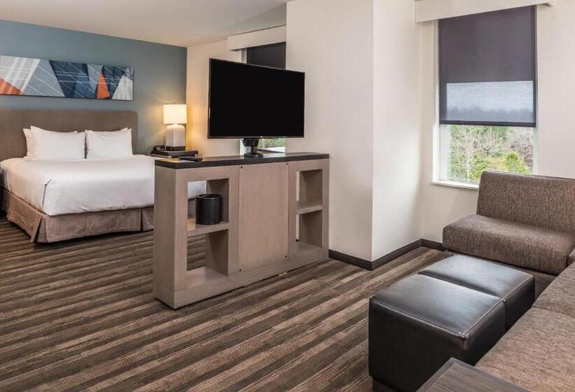 ホテル Hyatt House Raleigh/rdu/brier Creek