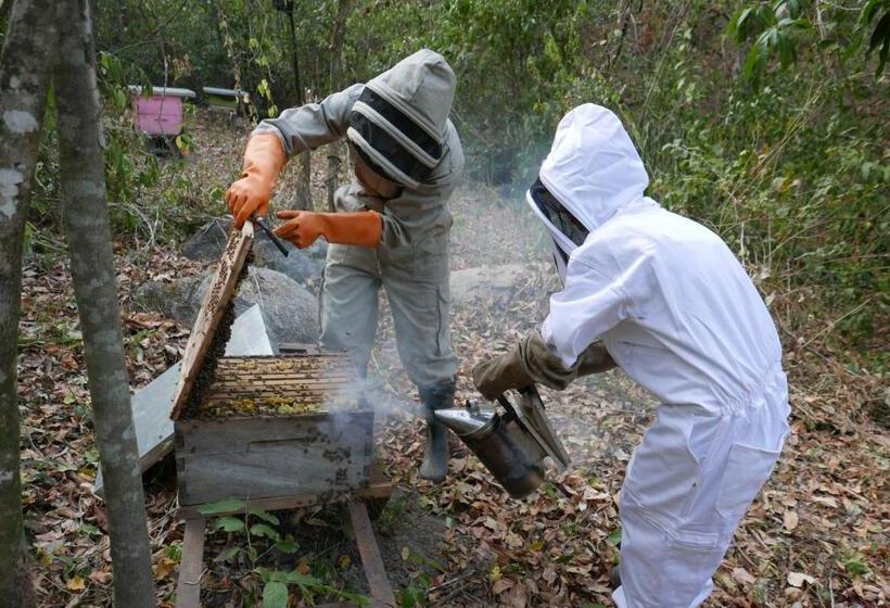 هاستل Finca Carpe Diem Ecolodge