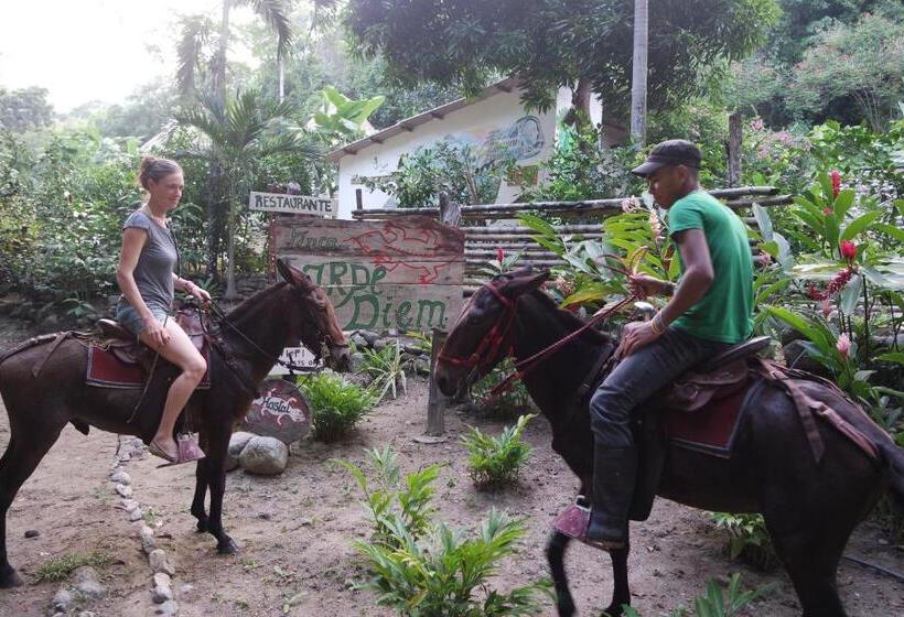 هاستل Finca Carpe Diem Ecolodge