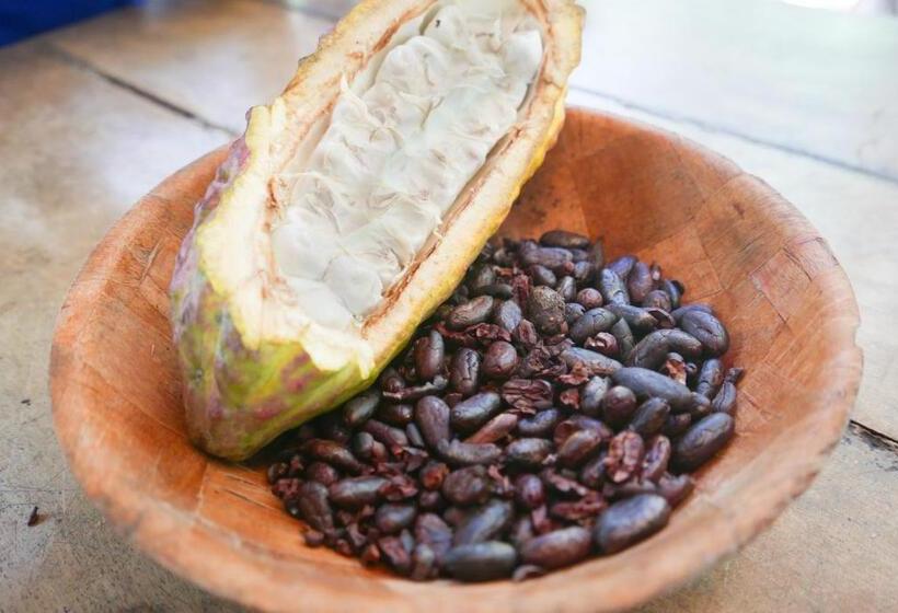 هاستل Finca Carpe Diem Ecolodge