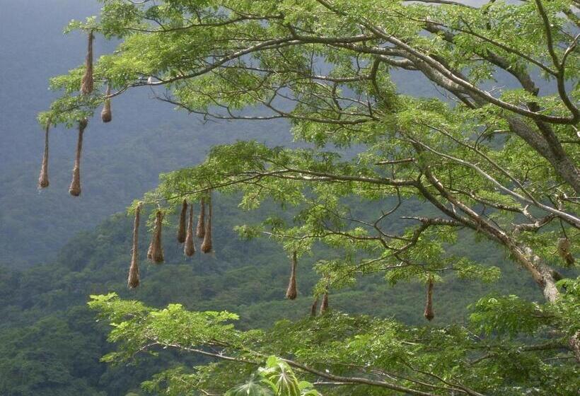 هاستل Finca Carpe Diem Ecolodge