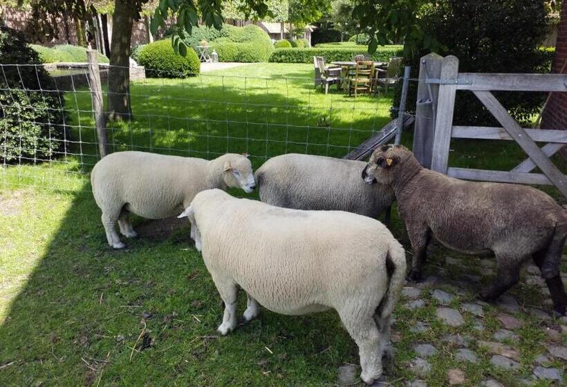 B&b De Hulst