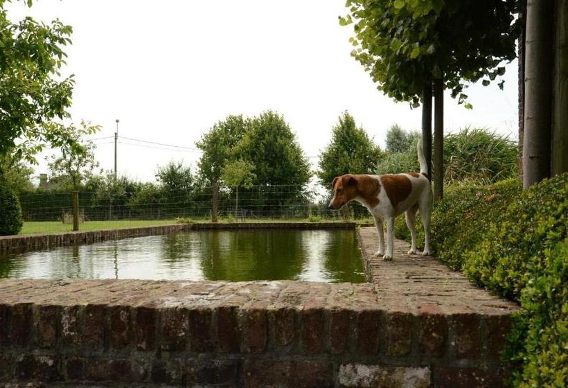 B&b De Hulst