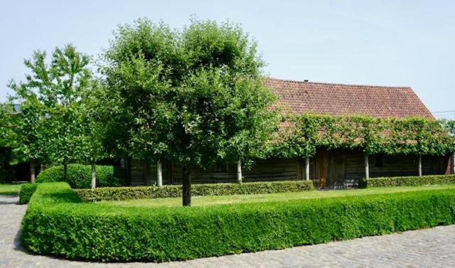 B&b De Hulst