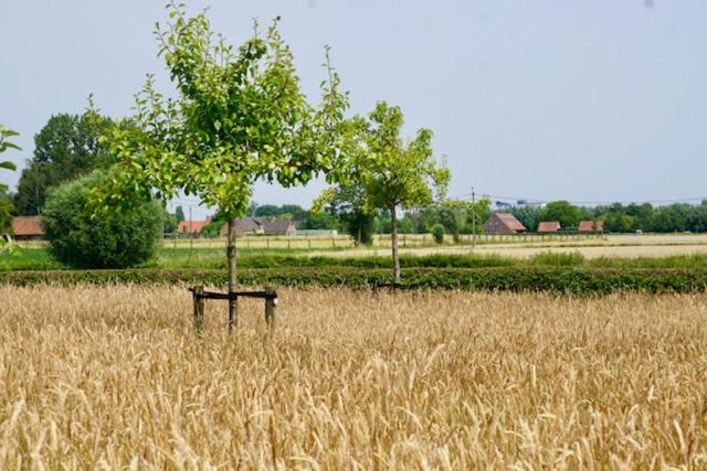 B&b De Hulst