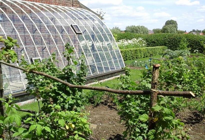 B&b De Hulst