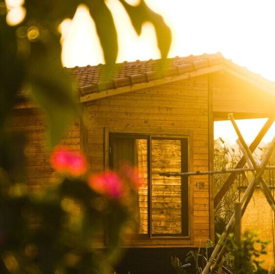 تختخواب و صبحانه Lemon Garden Lodge