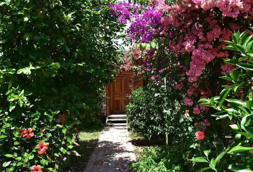 تختخواب و صبحانه Lemon Garden Lodge