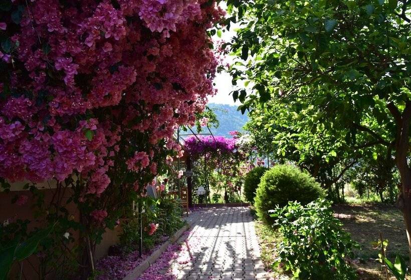 تختخواب و صبحانه Lemon Garden Lodge