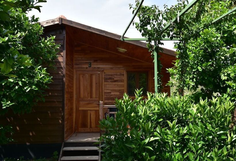 تختخواب و صبحانه Lemon Garden Lodge