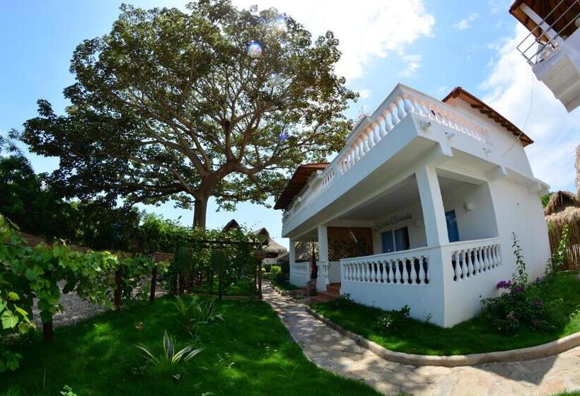 هاستل Primaluna Palomino