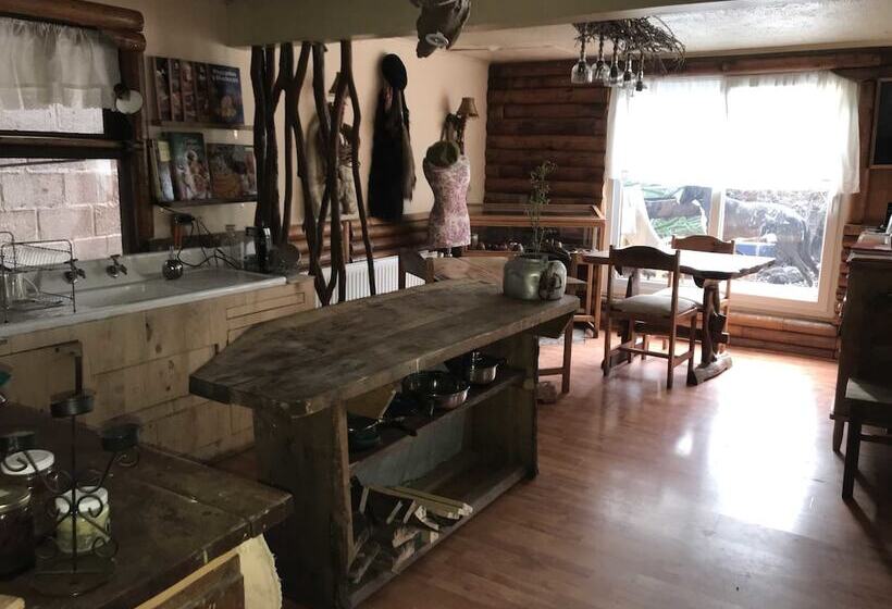 هاستل Casa Balmaceda Backpackers