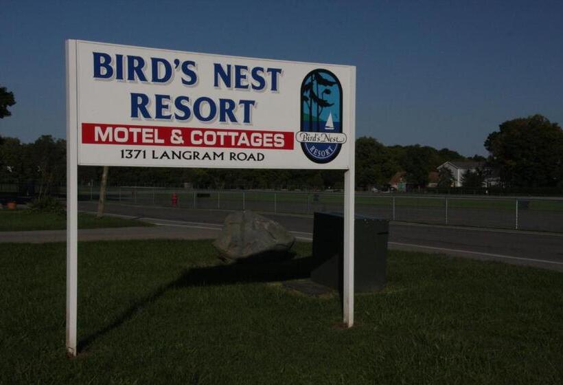 민박 Bird's Nest Resort