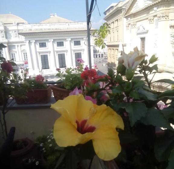 Bed And Breakfast  La Terrazza