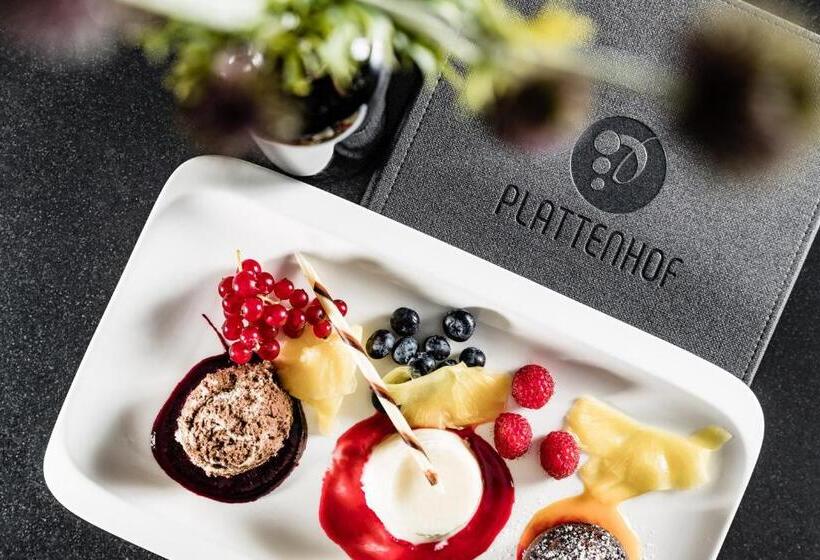 فندق Plattenhof