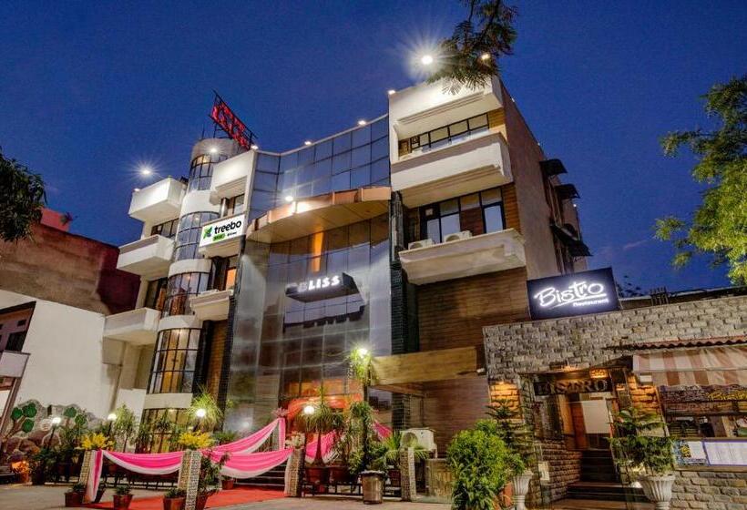 Fotos del hotel Treebo Trend Bliss Raja Park:  16