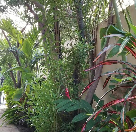 هتل Belize Tropical Dream Villas