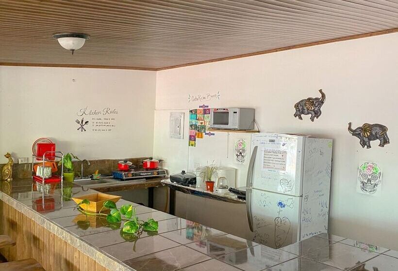 Passifloras Hostel