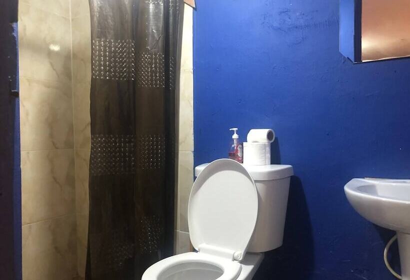 Twin Fin Hostels