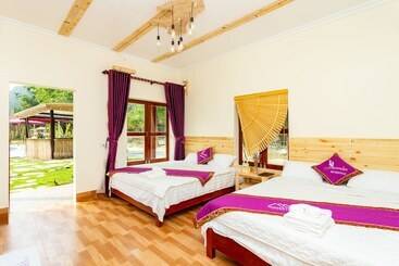 هتل Tam Coc Lavender Homestay