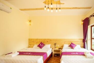 هتل Tam Coc Lavender Homestay