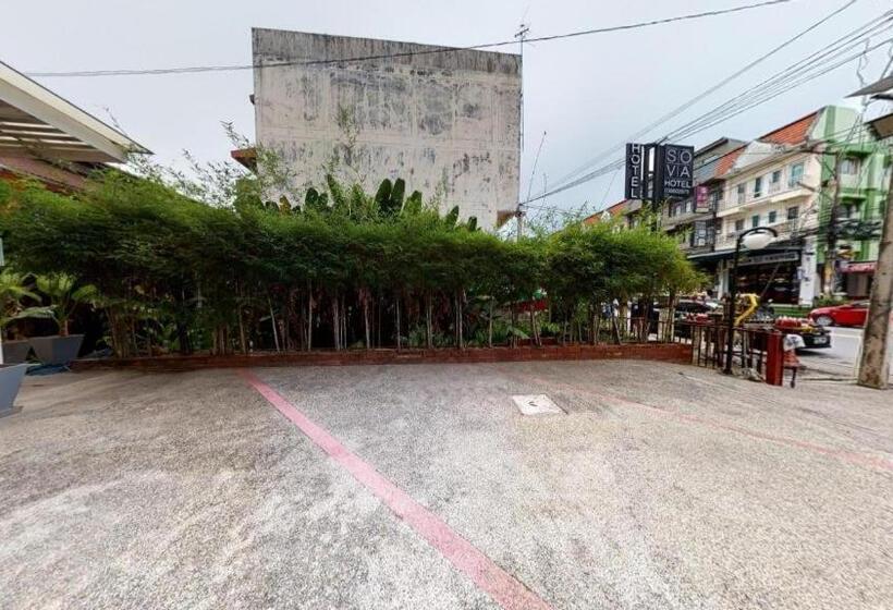 בית מלון כפרי Changsova