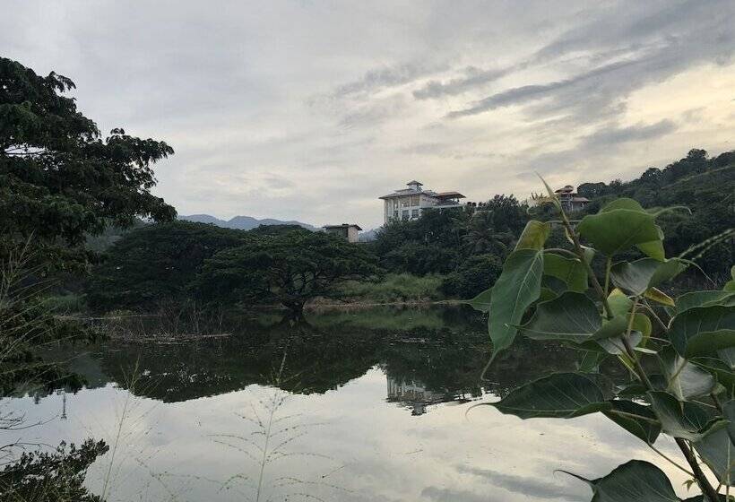 Fotos del hotel Rivendell:  33