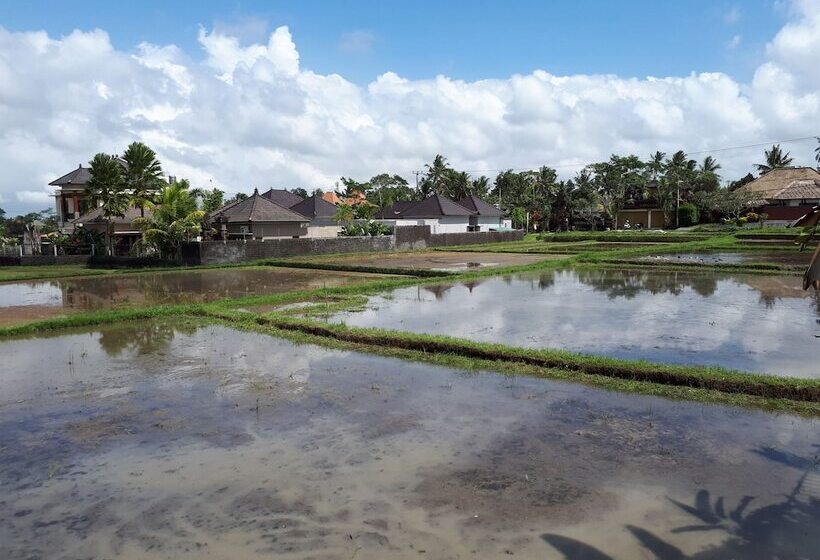Fotos del hotel Villa Kirani Ubud:  32