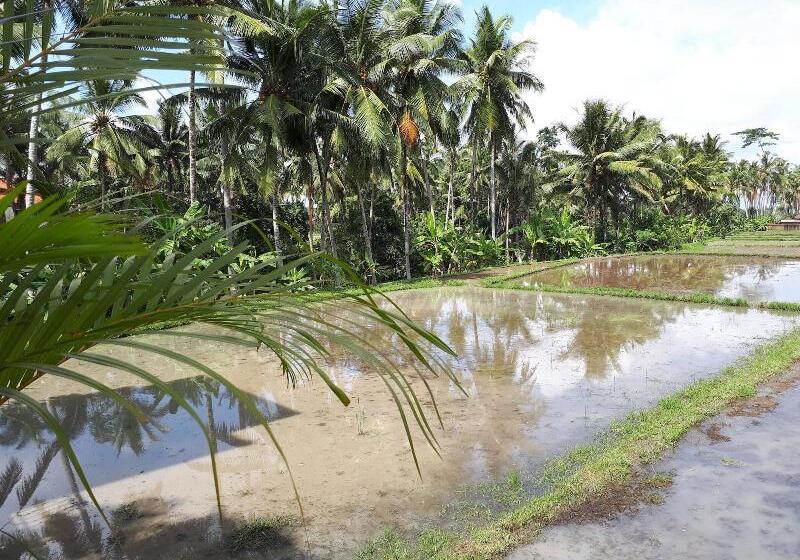 Fotos del hotel Villa Kirani Ubud:  27