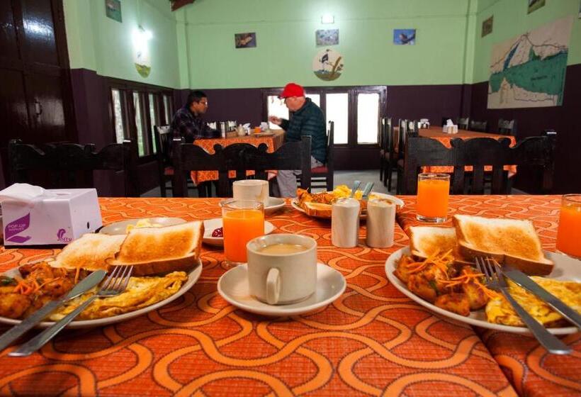 Sauraha Resort