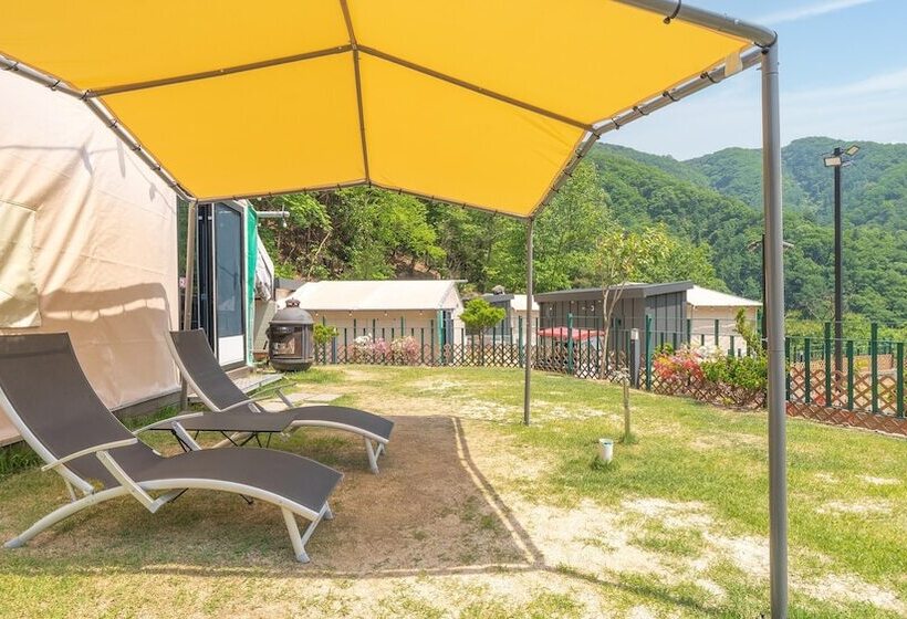 膳宿费 Gapyeong Camp With Pet & Aegyeonglamping