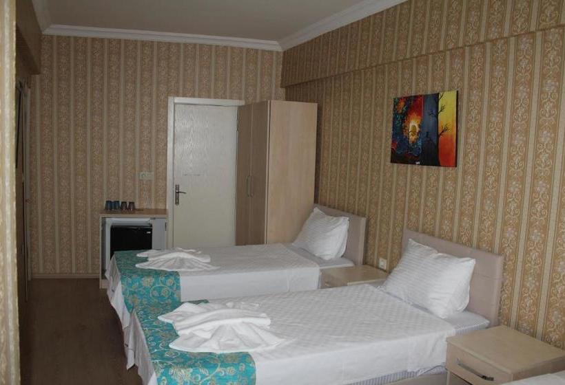 Fotos del hotel Omega Inn:  3