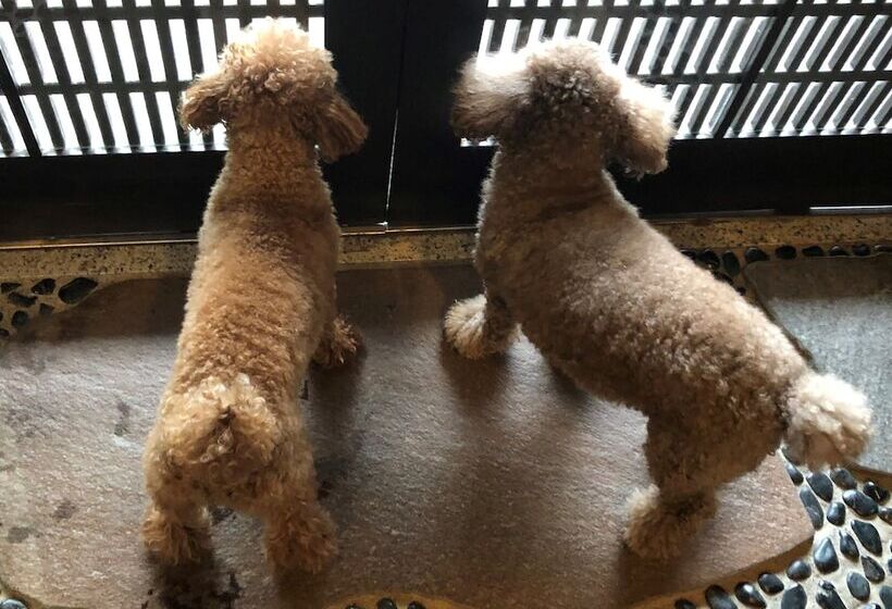 ریوکان Matsushima Koumura