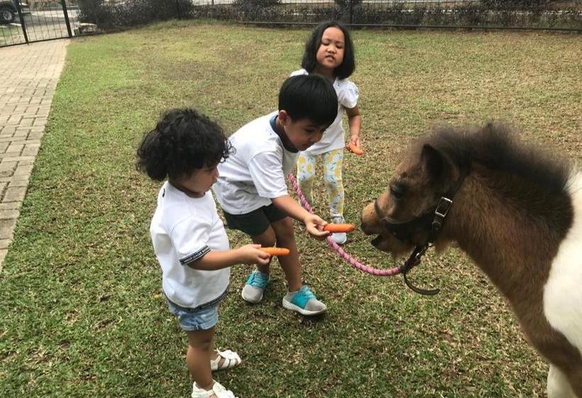 Apm Equestrian Resort