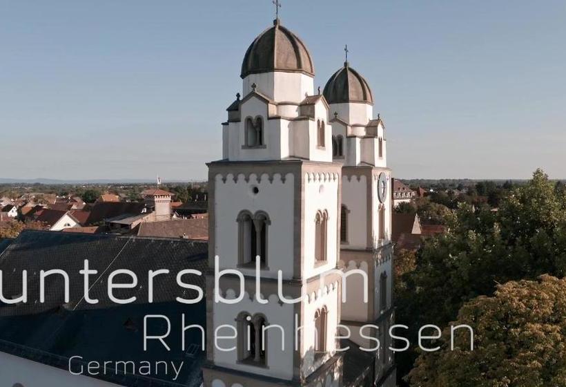 בית מלון כפרי Land Weingold Guntersblum