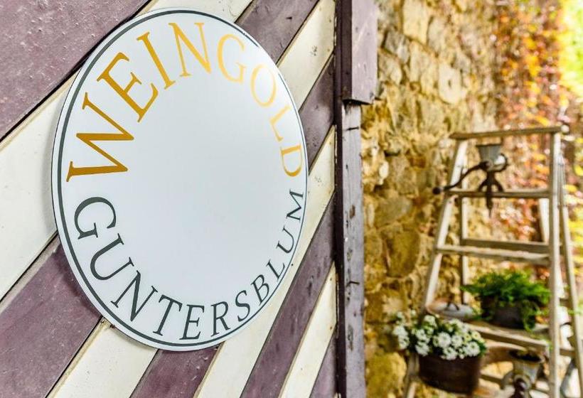 בית מלון כפרי Land Weingold Guntersblum