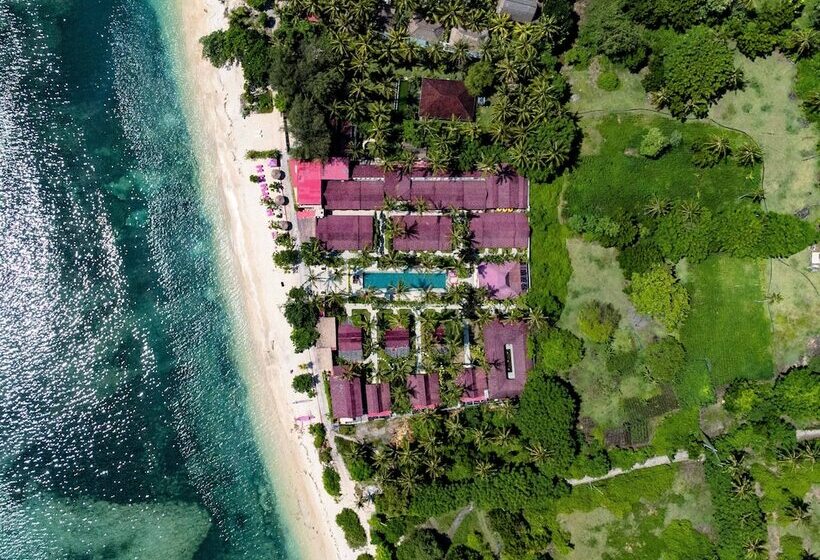 استراحتگاه Pinkcoco Gili Air   Constant Surprises & For Cool Adults Only