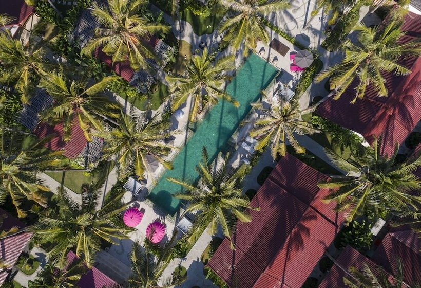 استراحتگاه Pinkcoco Gili Air   Constant Surprises & For Cool Adults Only